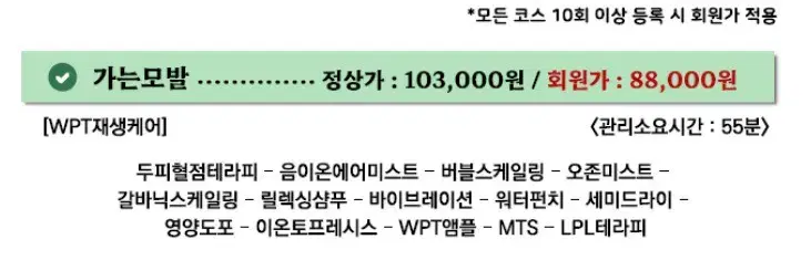 닥터모락 판교점 가는모발 케어 12회권(10%할인)